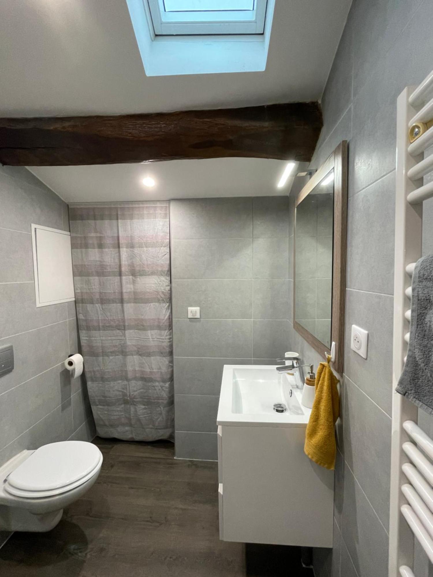 Apartmán Chez Jean-Yves Et Zoe - Le Saint Andre - Au Calme, Tres Propre, Proche Parkings, Clim Niort Exteriér fotografie